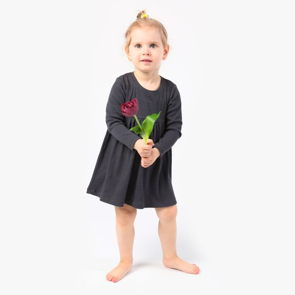 Сукня для дівчаток Фламінго, колір: Сірий, розмір: 104, арт. 100-1109 100-1109 фото