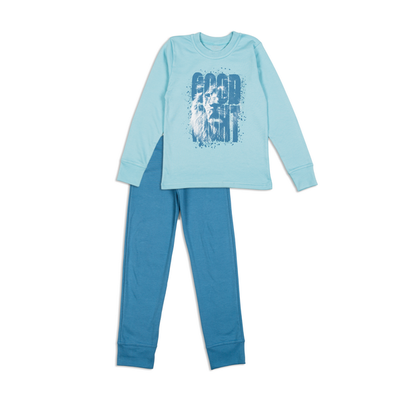 Піжама для хлопчика Фламінго, колір: Світло-блакитний, розмір: 128, арт. 249-212 249-212 фото
