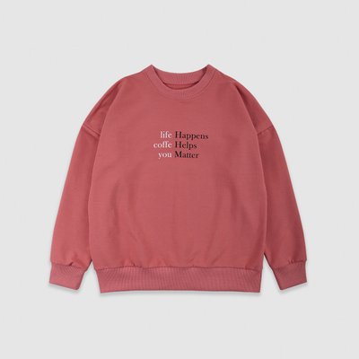 Sweatshirt for girls for Flamingo Powder, size: 164, sku 866-325