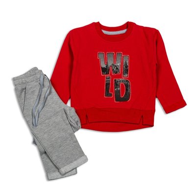 Комплект спортивний для хлопчика Фламінго, колір: Червоний, розмір: 92, арт. 985-311 985-311 фото