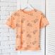 T-shirt for boys Flamingo, color: Оrange, size: 128, sku 896-124