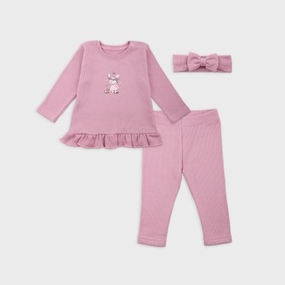 Комплект для дівчаток Фламінго, колір: Попелясто-рожевий, розмір: 68, арт. 355-1109 355-1109 фото