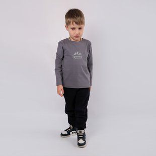 Jumper with print for boys Flamingo Gray, size: 98, арт. 933-110 933-110