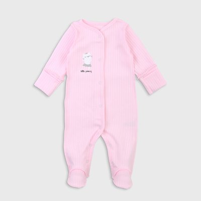 Baby overalls Flamingo, color: Pink, size: 56, sku 365-106